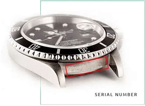 rolex watch lookup